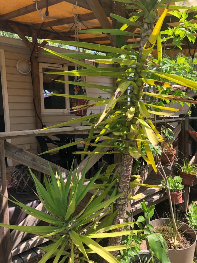 Mobil Home Climatise Camping 4* Le Grau Du Roi Les Jardins De Tivoli ภายนอก รูปภาพ